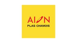 Logo Resmi Aion Indonesia Indonesia
