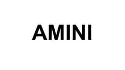 Logo Resmi AMINI Indonesia